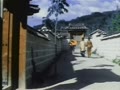 動画:ジャッキーチェン 龍拳